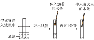 自然界的循環(huán)工廠 氧氣與二氧化碳的平衡之旅